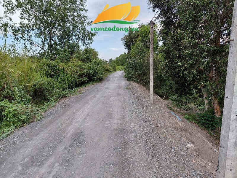 27.353.01 40133m2 đất vườn MT Rạch Kênh